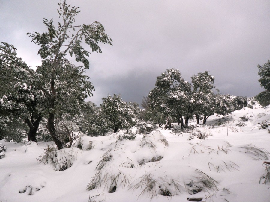 muchísima nieve por todo
