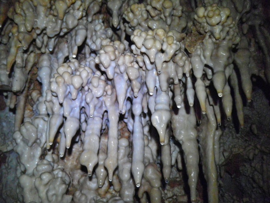 el premio por la incursión