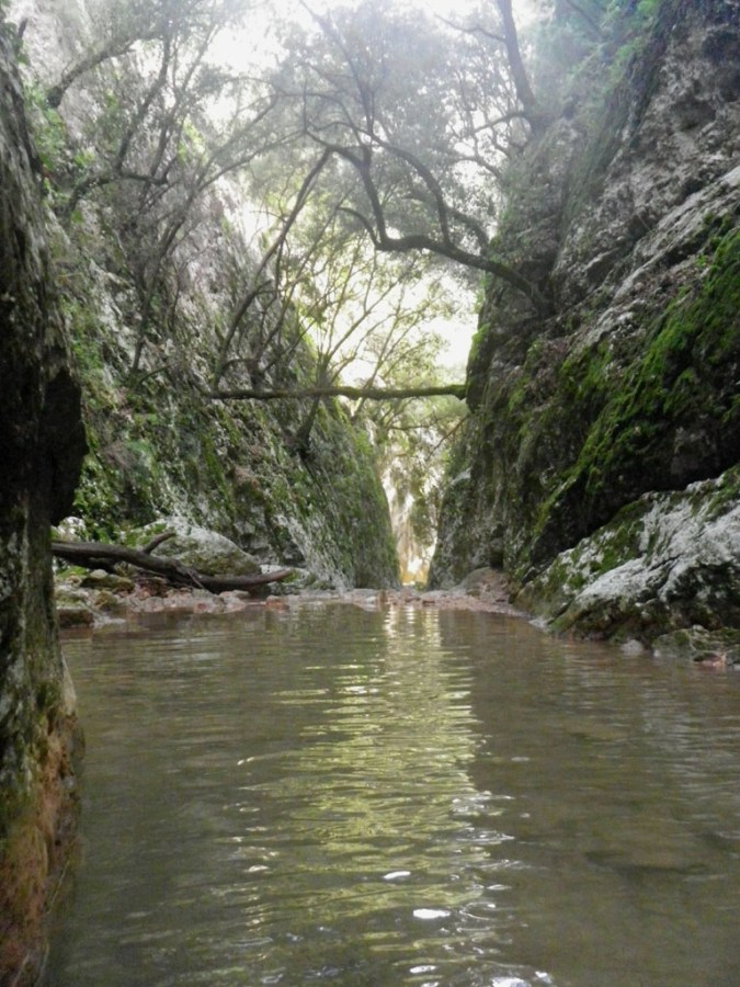 imagen impresionante