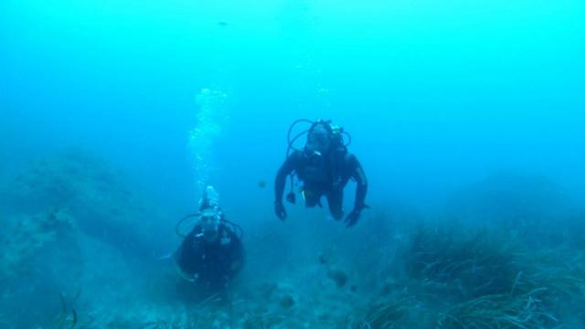 Buceo 2012