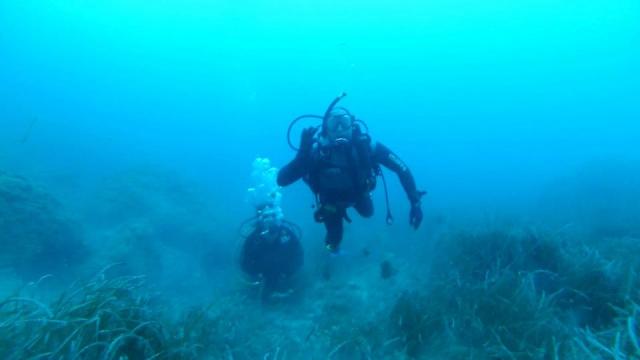 Buceo 2012