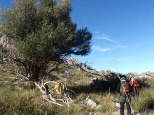 un momento de descanso