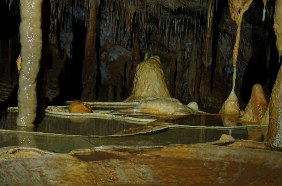 foto Paco Fernández