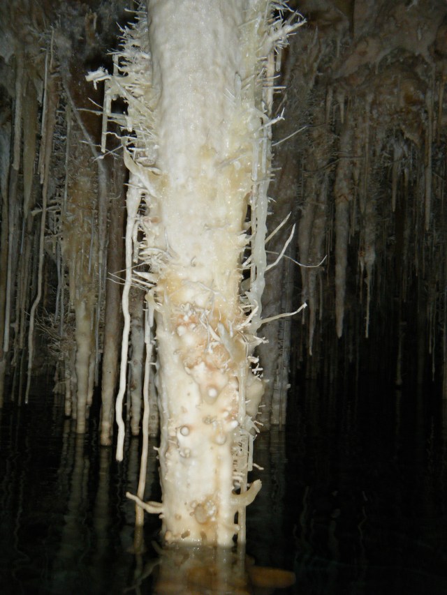 Vallgornera072013 Rafael Minguillón