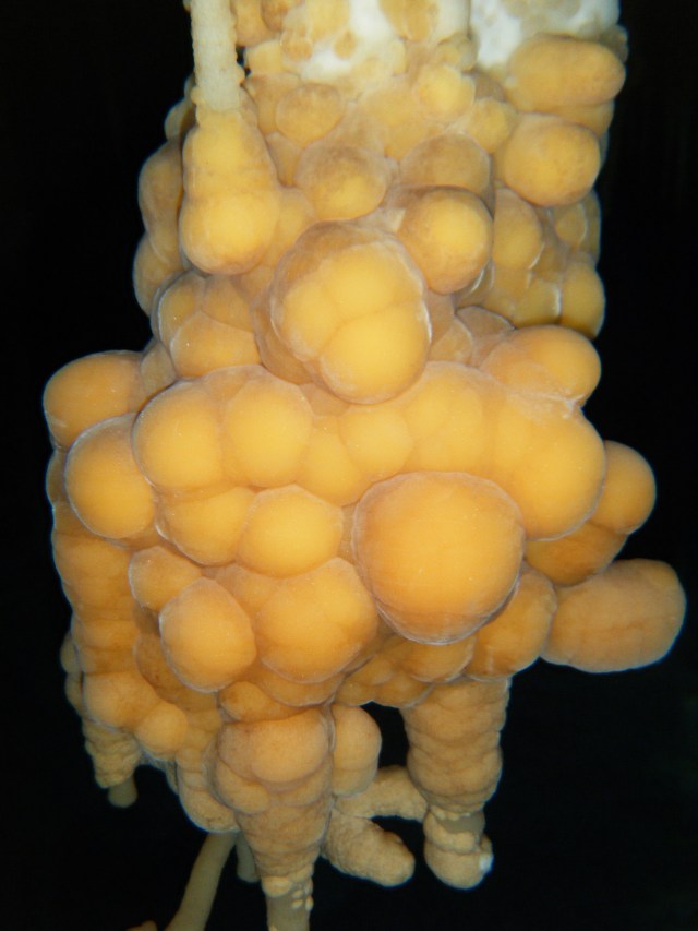 Vallgornera072013 Rafael Minguillón