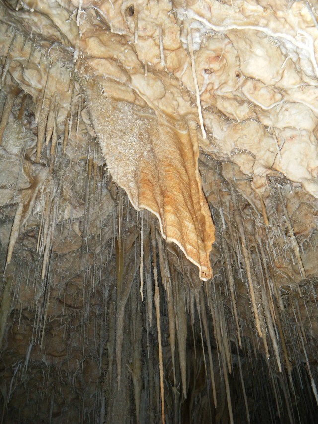 Vallgornera072013 Rafael Minguillón