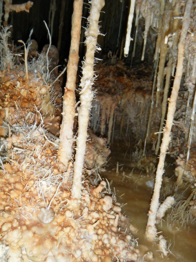 Vallgornera072013 Rafael Minguillón