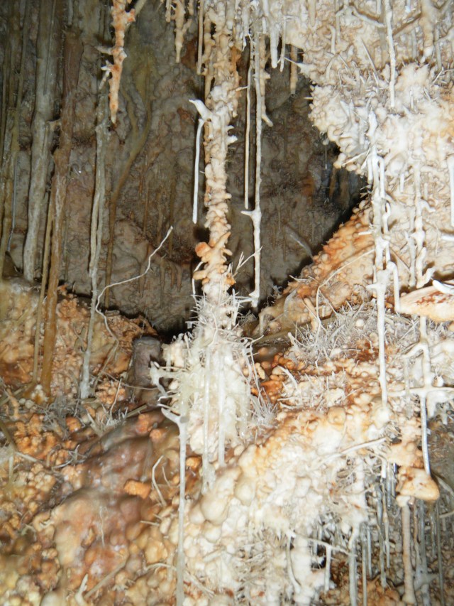 Vallgornera072013 Rafael Minguillón