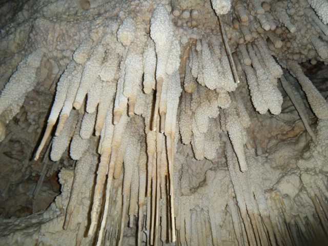 Vallgornera072013 Rafael Minguillón