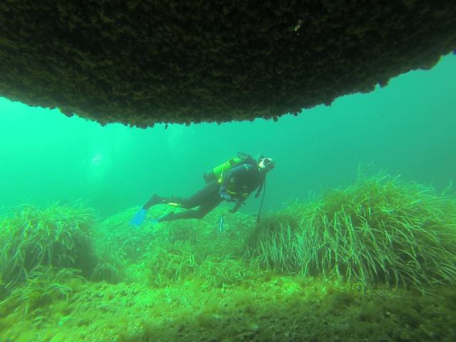 es Pontasset, (de  Buceo KarajaSub)