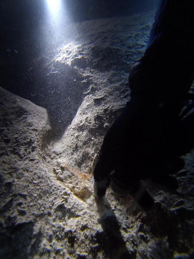 es Pontasset, (de  Buceo KarajaSub)