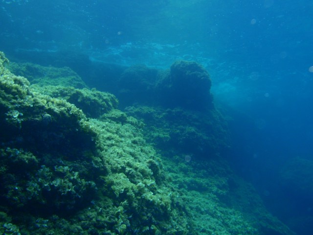 subacuática. Cova des Fonoll Marí 