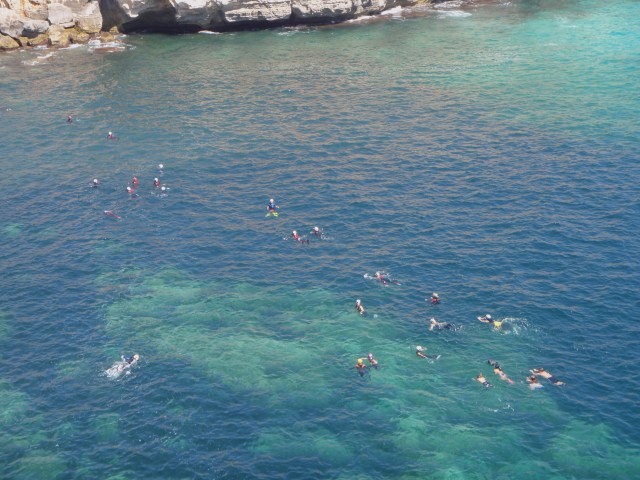 Cova des Coloms. Calka Falcó