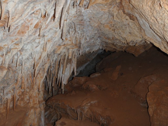 Cova de ses Pasteretes