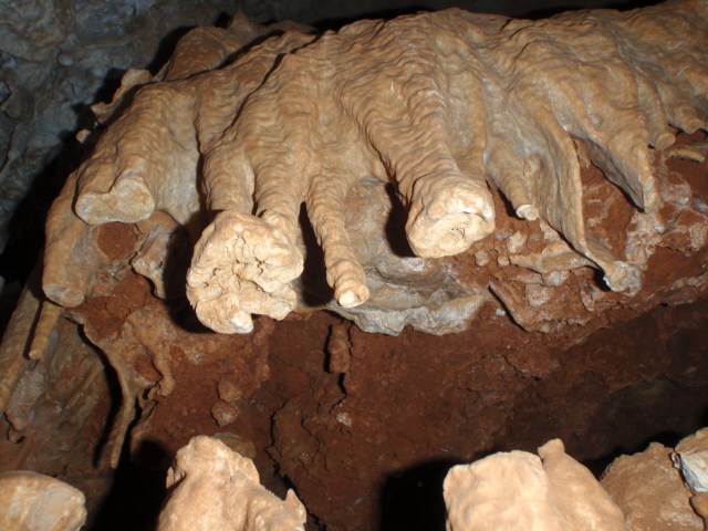 Cova de ses Pasteretes