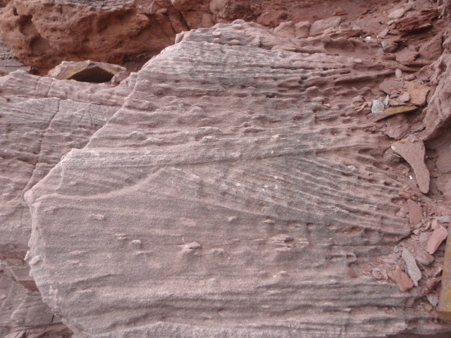 petrificación cruzada