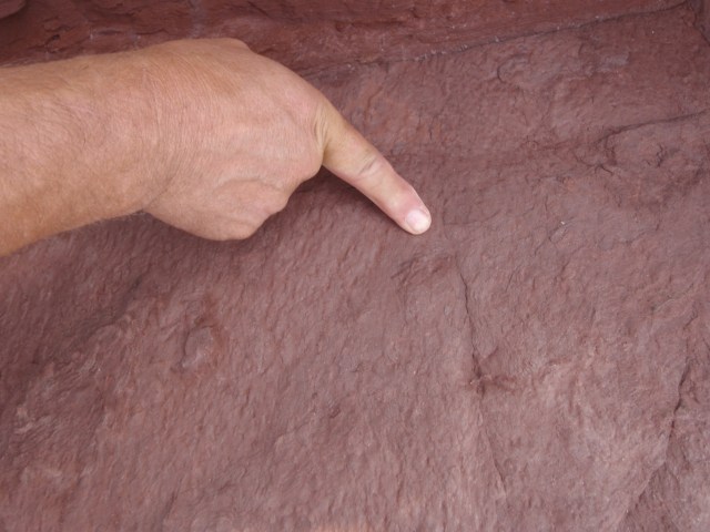 huellas de dinosaurio