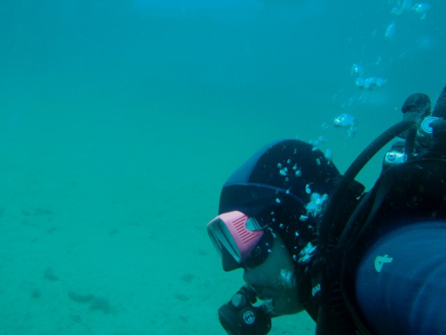 buceo Dique Oeste