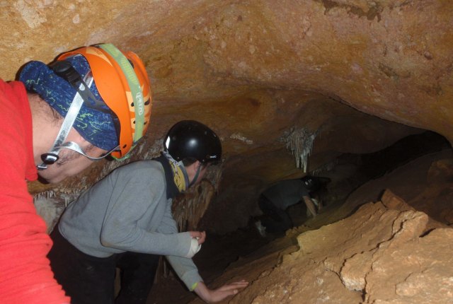 cova de cal Pesso 2014