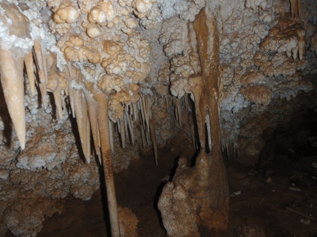 cova de cal Pesso 2014