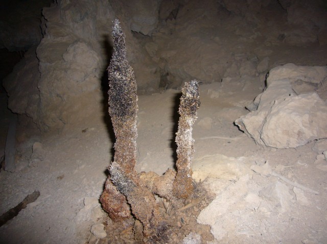 cova des coloms, Génova