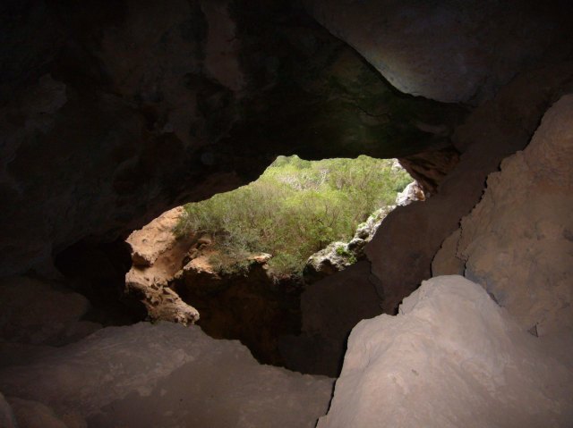 cova des coloms, Génova