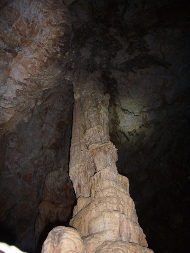 cova des coloms, Génova