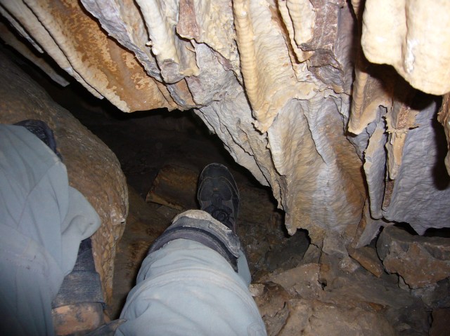 cova des coloms, Génova