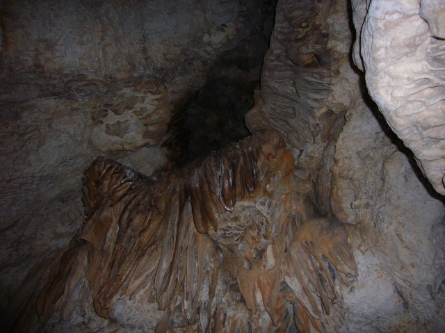 cova des coloms, Génova