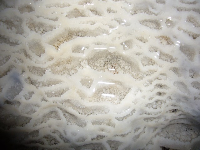 cova des coloms, Génova