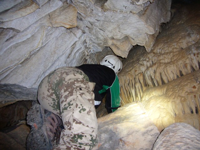 cova des coloms, Génova