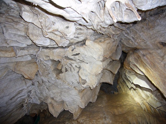 cova des coloms, Génova