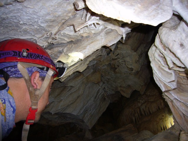 cova des coloms, Génova