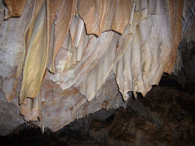 cova des coloms, Génova