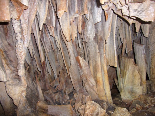 cova des coloms, Génova