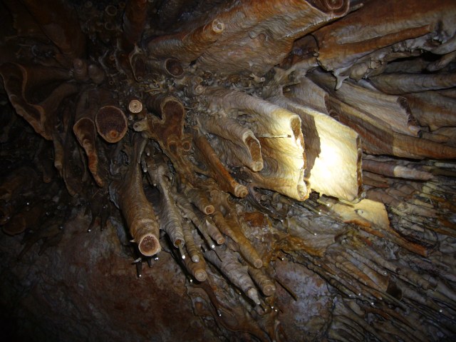 cova des coloms, Génova