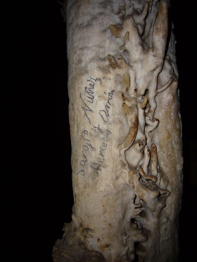 cova des coloms, Génova