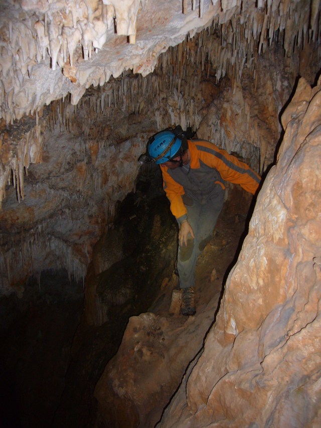 cova des coloms, Génova