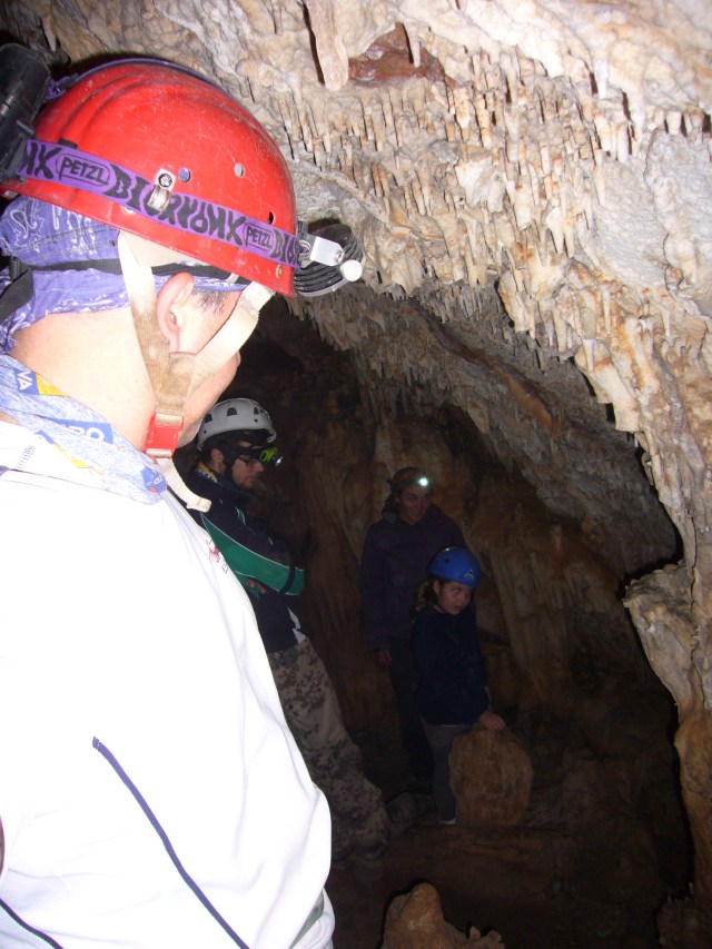 cova des coloms, Génova