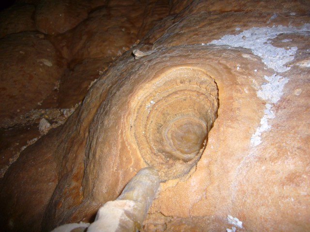 Avenc de Fangar -163m