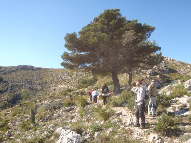 s´Arenalet d´Albarca 2014