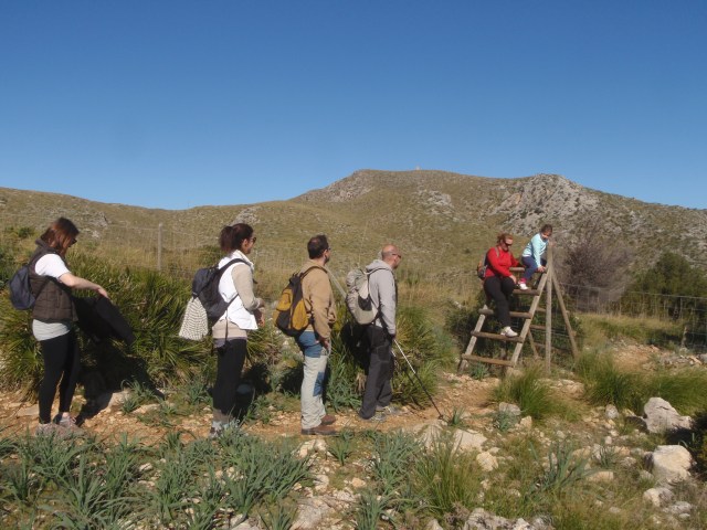 s´Arenalet d´Albarca 2014