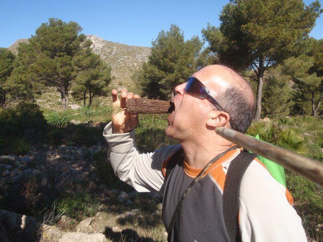 s´Arenalet d´Albarca 2014