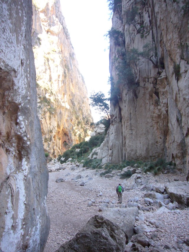 torrent de Pareis 2014