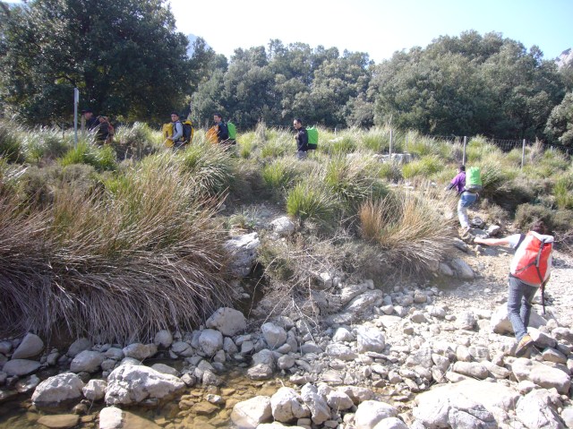 Forat dets Amics  -180m 2014