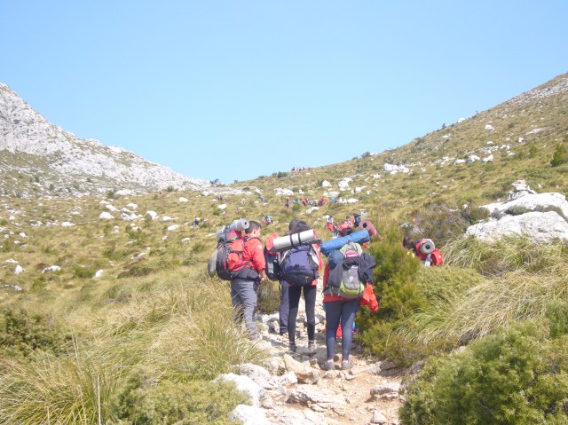 Forat dets Amics  -180m 2014