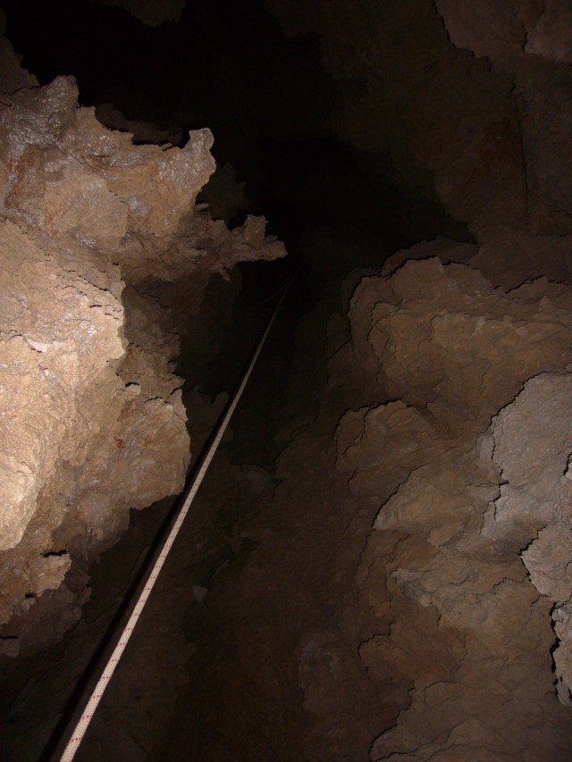 Forat dets Amics  -180m 2014