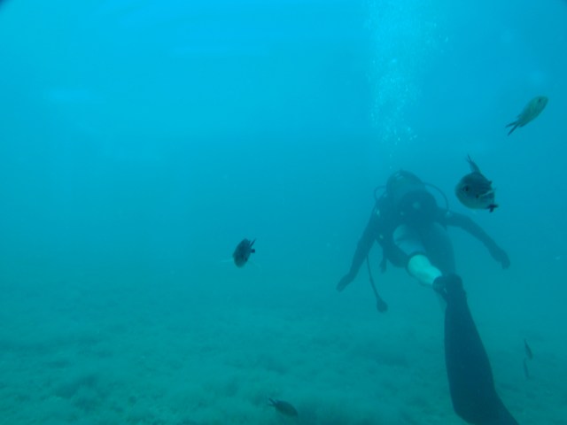 buceo Dique Oeste, Nono