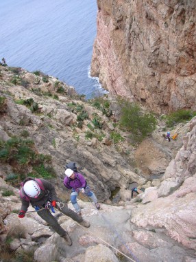 Comellar d´en Corso 2014