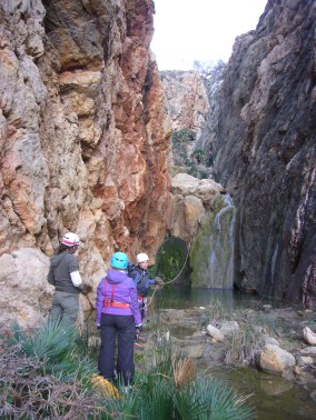 Comellar d´en Corso 2014